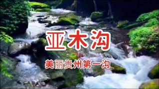 人体艺术第一人汤加丽，每日被搜索10万次，父亲质问：你让我怎么出门？