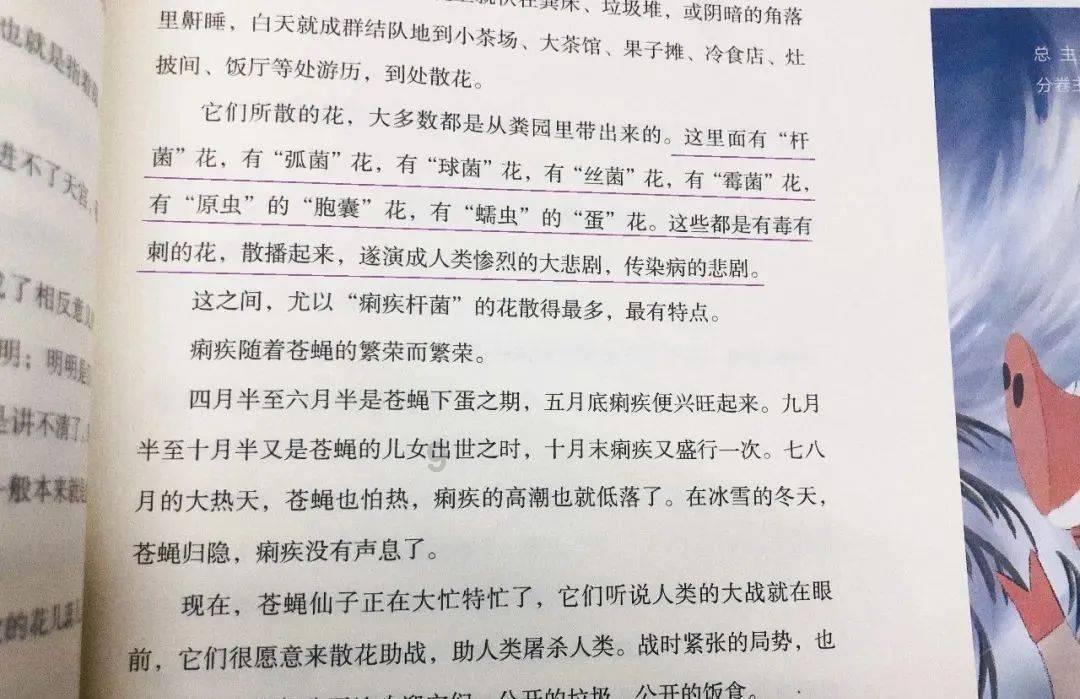 独眼萌怪吃金币