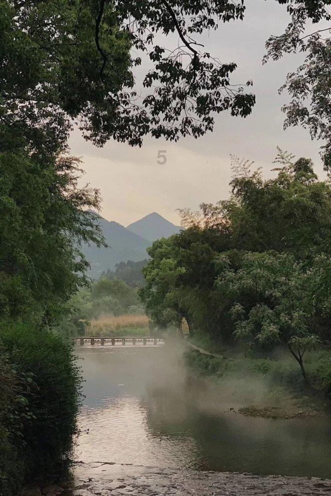 春节后全面开展工作，全国首家公益性的“运动马匹诊疗流动站”在广东成立！