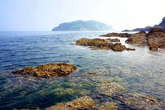 虫虫助手下载