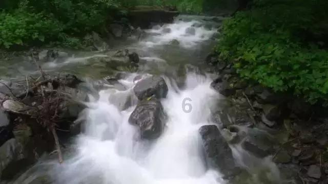 曾经是“小虎队”成员之一的陈志朋，为什么喜欢穿“奇装异服”？游戏画面