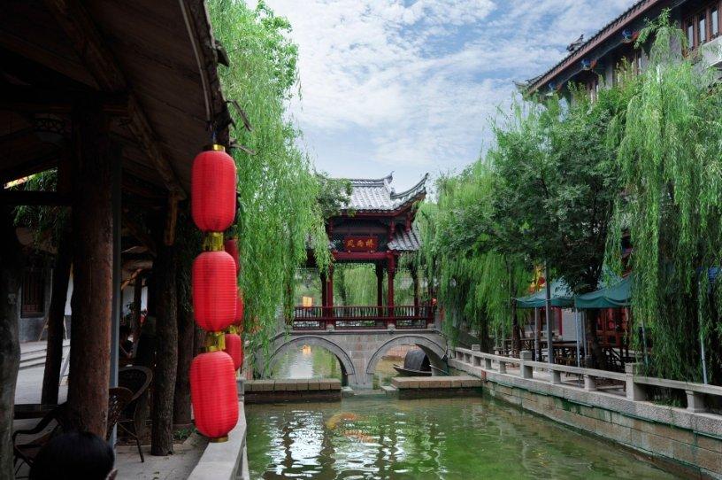 鸡大到二斤左右怎么容易死怎么办？游戏画面